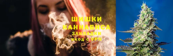 соль ск Белокуриха