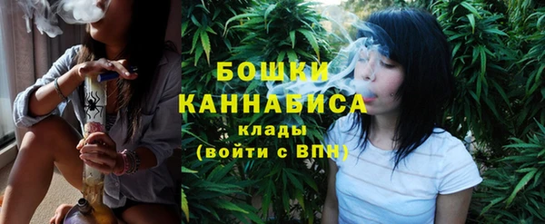 соль ск Белокуриха