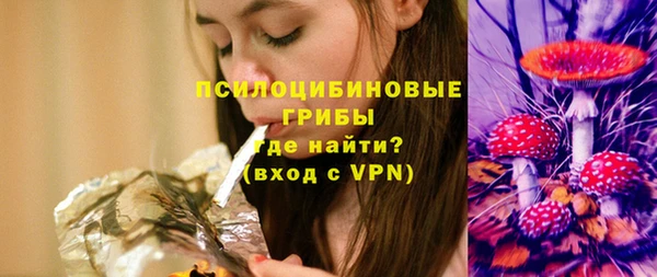 соль ск Белокуриха