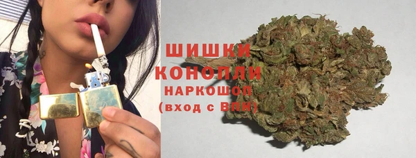 ПСИЛОЦИБИНОВЫЕ ГРИБЫ Белоозёрский